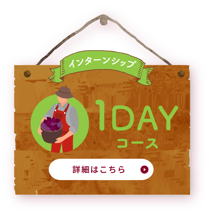 1dayコース